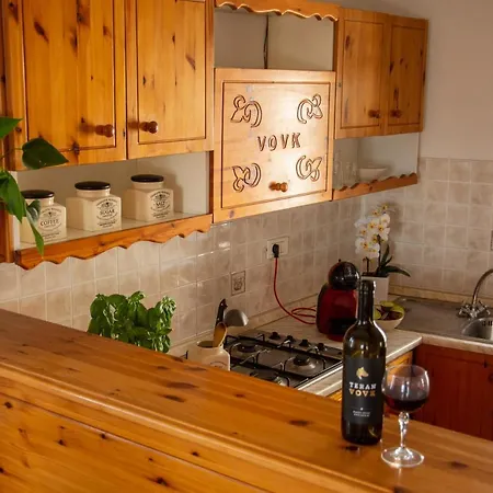 Appartamento Apartma Na Skdnu *